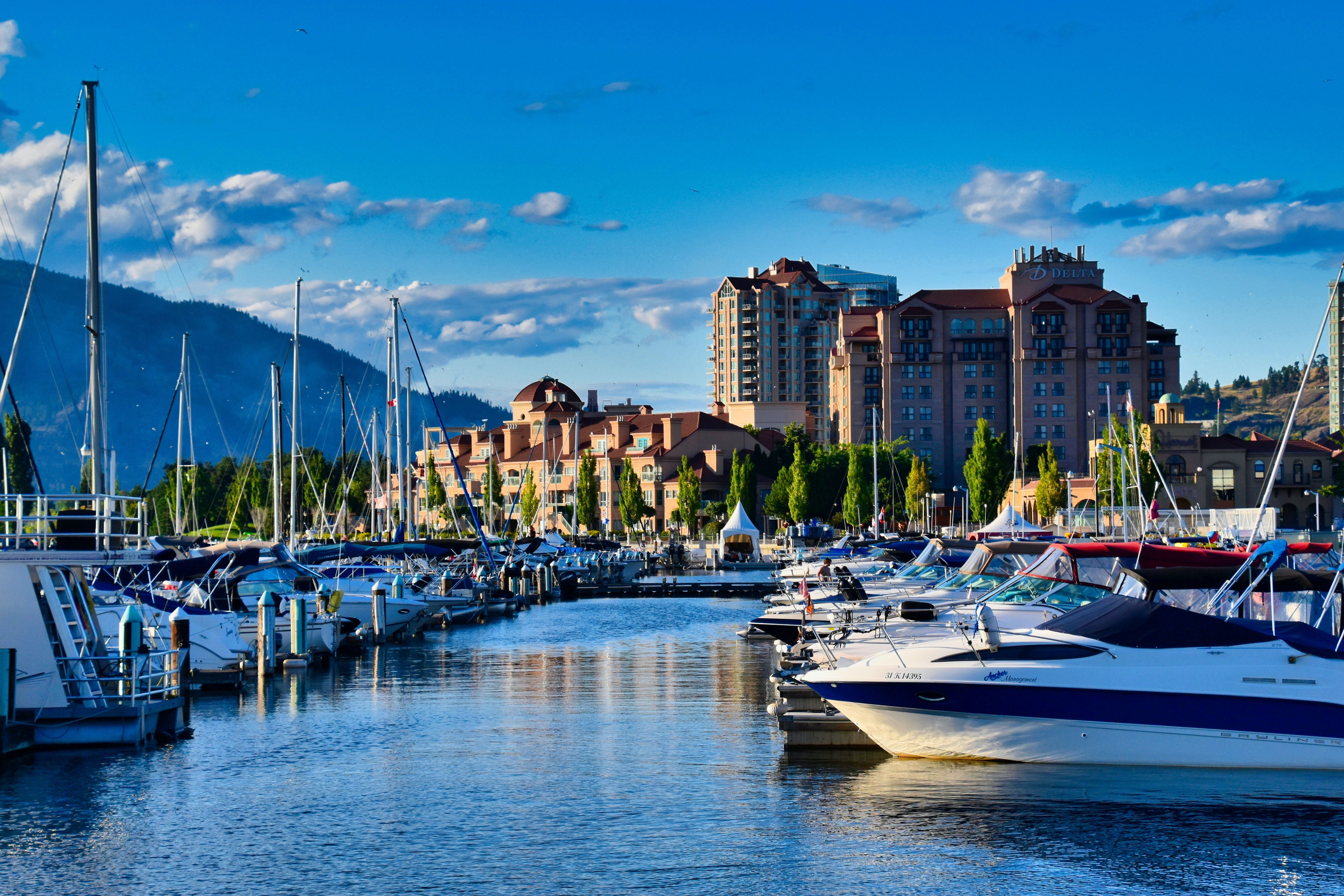 mushroom dispensary in Kelowna city